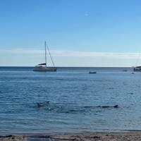 Explorador de 7 días de Perth a Exmouth y vuelta al Arrecife Ningaloo - desde Perth: foto del viajero #3