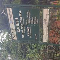 11 Day Chimpanzee Trekking, Gorilla Tracking & Wildlife Safari traveler photo #2