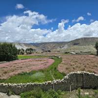 Photo de voyageur Upper Mustang Trek 14 jours #3