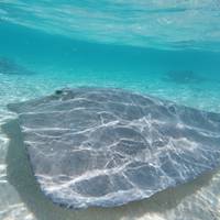 Maldivas paradisíacas de 8 días con aventuras: foto del viajero #1