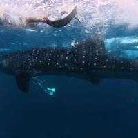 Maldivas paradisíacas de 8 días con aventuras: foto del viajero #3