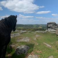 Devon & Cornwall ab London Kleingruppenreise - 5 Tage Reise-Foto #1