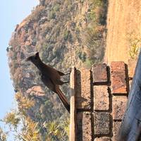 3 Días | Reserva de los 5 Grandes de Pilanesberg: foto del viajero #3