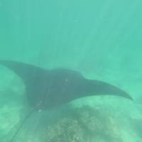 Explorador de 7 días de Perth a Exmouth y vuelta al Arrecife Ningaloo - desde Perth: foto del viajero #1