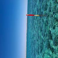 Explorador de 7 días de Perth a Exmouth y vuelta al Arrecife Ningaloo - desde Perth: foto del viajero #3