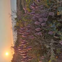 Verkenningsreis naar Exmouth & Ningaloo Reef – retour – vanuit Perth – 7 dagen: foto van de reiziger #1