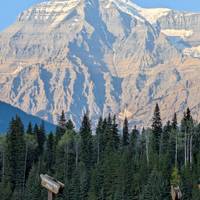 Excursión Premium a las Rocosas desde Vancouver: foto del viajero #2