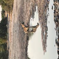Botswana Wildlife Safari (Savuti) Reise-Foto #1