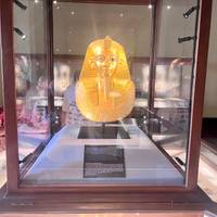 Explorador de Egipto - Crucero en felucha y el Mar Rojo: foto del viajero #3