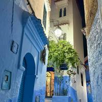 7 Days Tour: Imperial Cities in Morocco traveler photo #3