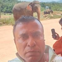 Semi-luxueuze rondreis door Sri Lanka: foto van de reiziger #1