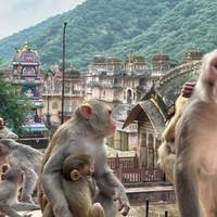 Photo de voyageur Bestseller Tour de l