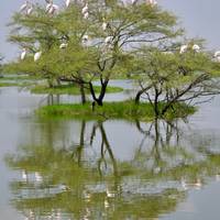 Lo más vendido - Viaje a la India con Nepal, vuelo incluido: foto del viajero #2