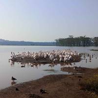 Het beste van Kenia & Tanzania - 12 dagen: foto van de reiziger #3