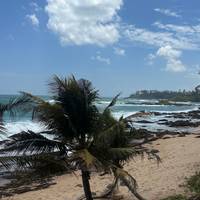 Sri Lanka - Reiseroute (7 Tage) Reise-Foto #3