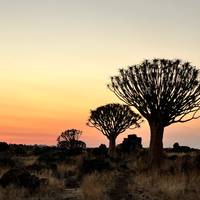 Photo de voyageur Namibie classique - Départ le samedi - 12 jours #3