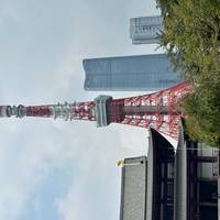 Lo Mejor de Corea del Sur y Japón en 14 Días: foto del viajero #1