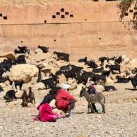 10 Days from Casablanca ( Private Morocco tour ) traveler photo #1