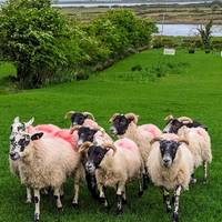 Lo mejor de Irlanda: foto del viajero #1