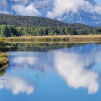 4-daagse Yellowstone en Tetons diepgaande rondreis vanuit Salt Lake City met kleine groep: foto van de reiziger #3