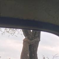 Safari de 3 días por Tanzania: foto del viajero #2