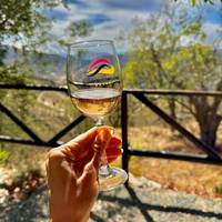 Solo-achtig Portugal: foto van de reiziger #3