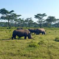 7 dagen Kenia en Tanzania combineren safari: foto van de reiziger #1