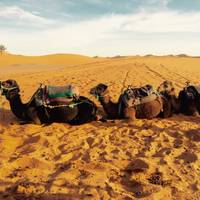 Photo de voyageur Aventure Gorges et Déserts de Merzouga 3D/2N - de Marrakech à Marrakech #1