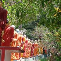 Semi-luxueuze rondreis door Sri Lanka: foto van de reiziger #3