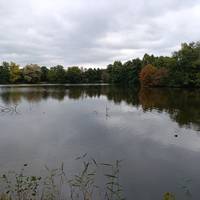 Eine Woche in Prag: Eine Reise durch Gastronomie, Geschichte und Kultur" Privatreise traveler photo #1