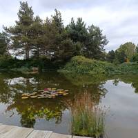 Eine Woche in Prag: Eine Reise durch Gastronomie, Geschichte und Kultur" Privatreise traveler photo #2