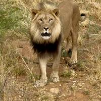 11 Daagse Namibië Duinen, culturen en wildlife safari: foto van de reiziger #1