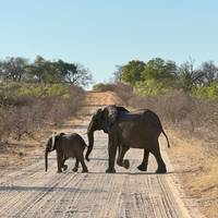 11 Daagse Namibië Duinen, culturen en wildlife safari: foto van de reiziger #2