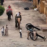 Photo de voyageur Bestseller Tour de l