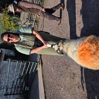 Ultimative Irland Kleingruppenreise - 10 Tage Reise-Foto #1