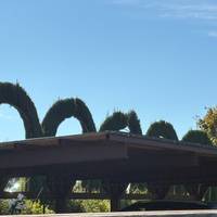 Toskana Wanderreise & Chianti-Weine Reise-Foto #1