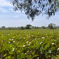 Avontuur in Zuidoost-Azië – Thailand, Laos, Vietnam & Cambodja – 31 dagen: foto van de reiziger #2