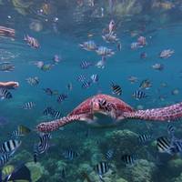 De westelijke Filippijnen – klassieke rondreis – One Life Adventures – 10 dagen: foto van de reiziger #1