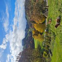 Prachtig Zwitserland: foto van de reiziger #3