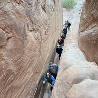 Utahs Mighty Five ab Vegas 5 Tage Reise-Foto #1