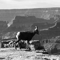 Photo de voyageur Le meilleur des parcs nationaux de l
