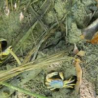 10 Days in Colombia – Unforgettable Adventures: Discovering the Best of the Country traveler photo #1