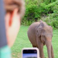 Sri Lanka Highlights mit One Life Adventures 12 Tage Reise-Foto #1