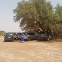 Marrakech nach Merzouga Wüstenabenteuer in 3 Tage Privat Reise-Foto #1