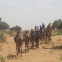 Marrakech nach Merzouga Wüstenabenteuer in 3 Tage Privat Reise-Foto #2