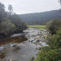 The G.O.A.T (Greatest Of All Tours) traveler photo #2