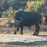 CAPE TOWN &amp; BEYOND Tour met chauffeur:  6 Dagen: foto van de reiziger #3