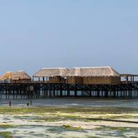 Vanuit Zanzibar: 14 dagen Cultuur- en Strandvakantie, Kruiden-, Ontspannings- en Geschiedenisreis: foto van de reiziger #1