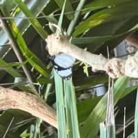 Vanuit Zanzibar: 14 dagen Cultuur- en Strandvakantie, Kruiden-, Ontspannings- en Geschiedenisreis: foto van de reiziger #3