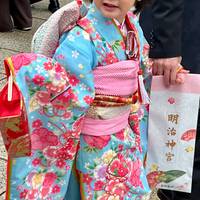 14 Días Japón Panorámico (Hoteles Privados 3 Estrellas): foto del viajero #1